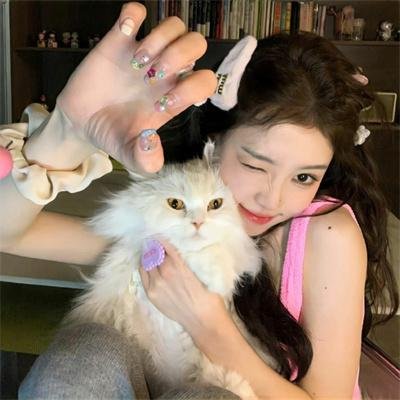 神勇飞虎霸王花